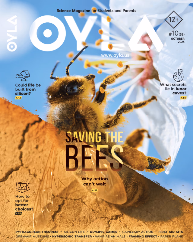 OYLA 12+: Saving the Bees