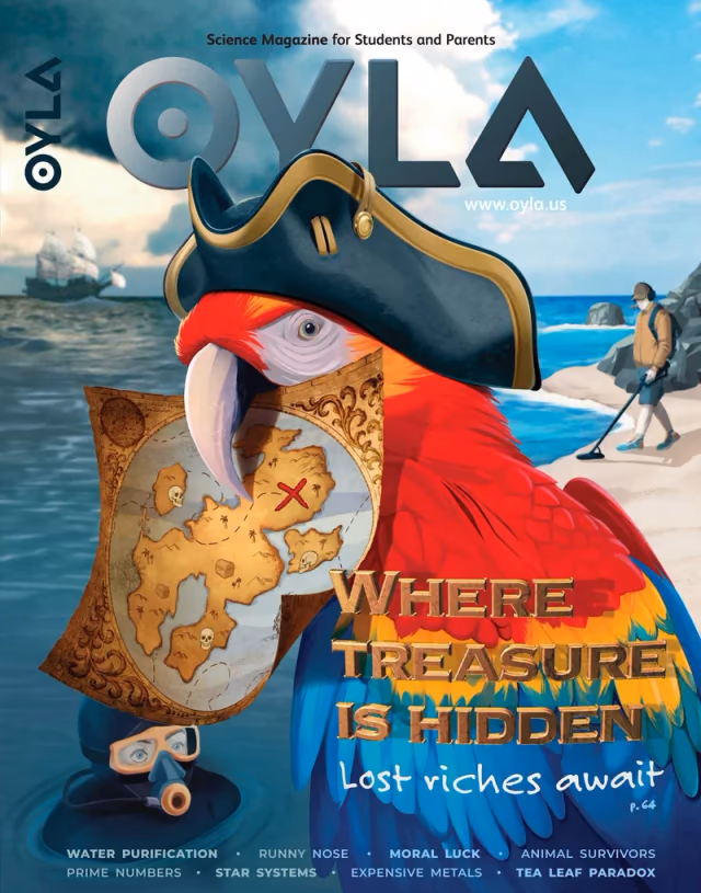 OYLA: Where Treasure Is Hidden