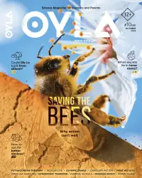 OYLA Magazine cover
