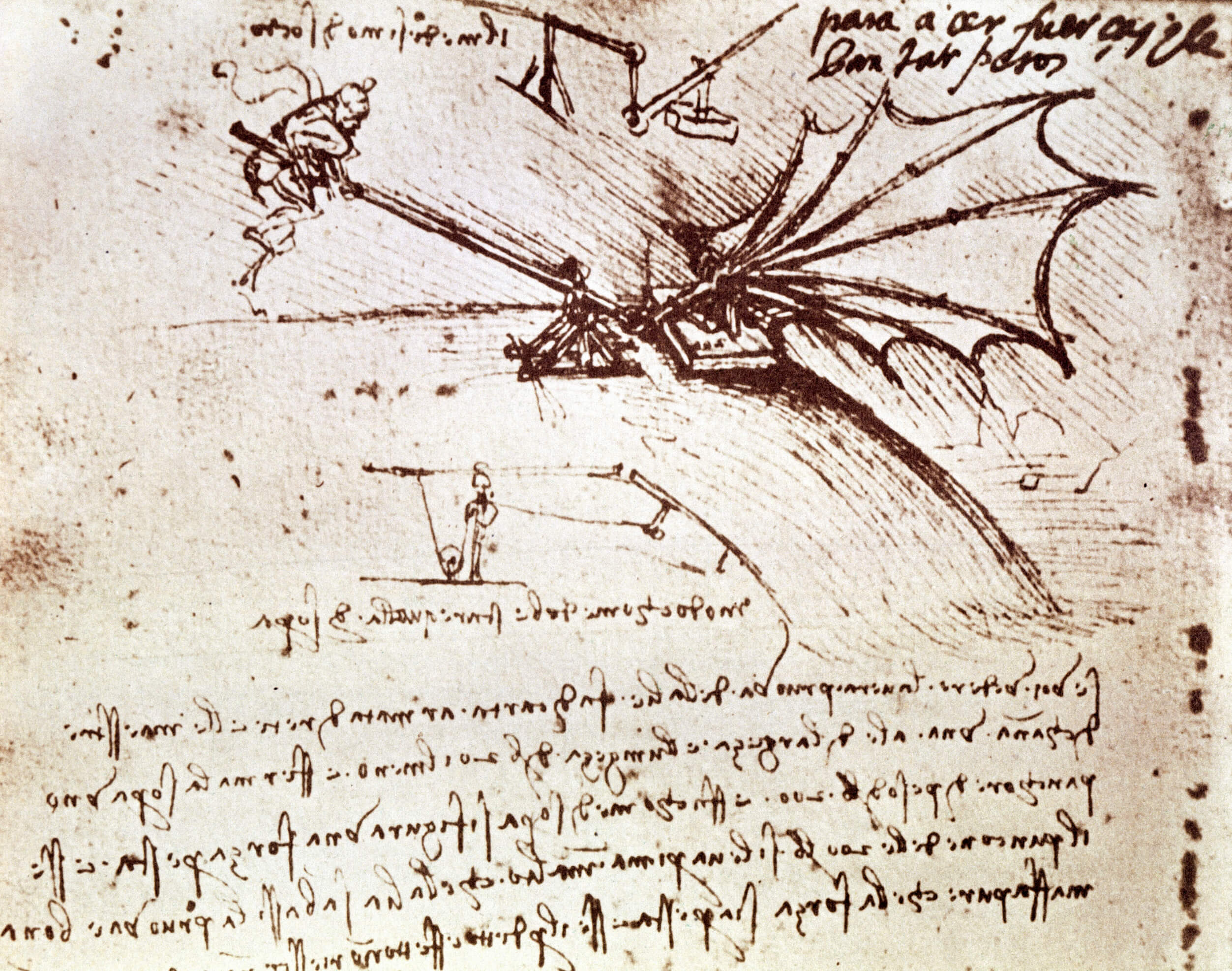 Bionics: Sketch of wing work