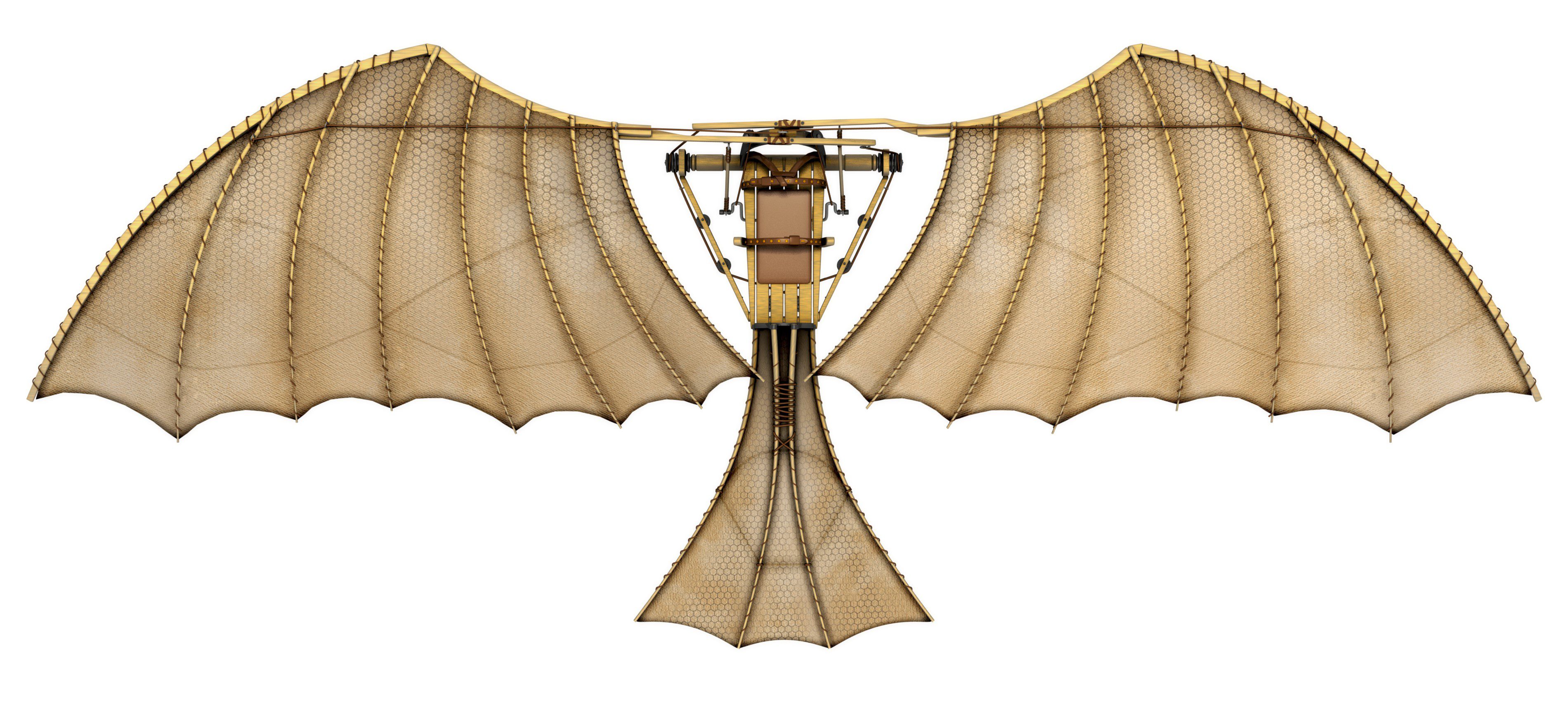 Bionics: Flying machine for humans