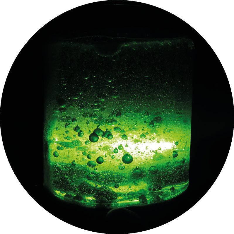 Light up the jar with a flashlight and turn off the lights. Let the show begin!