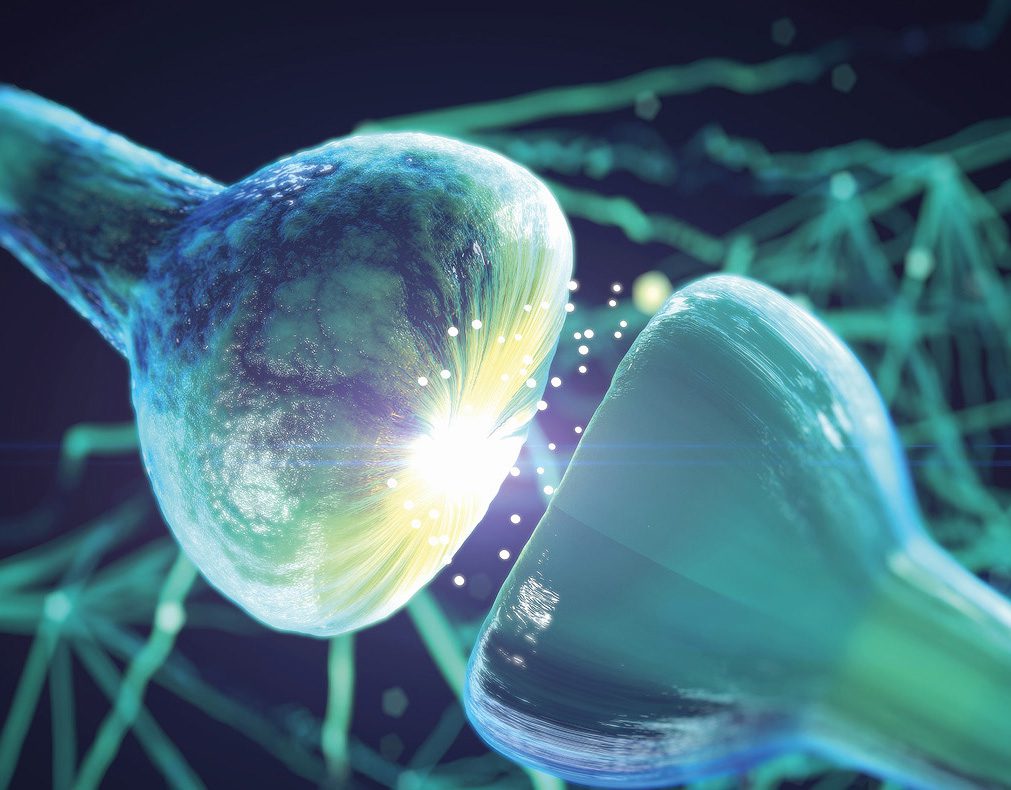 Dopamine is is an activating neurotransmitter: when it acts on another neuron, the latter’s activity level increases
