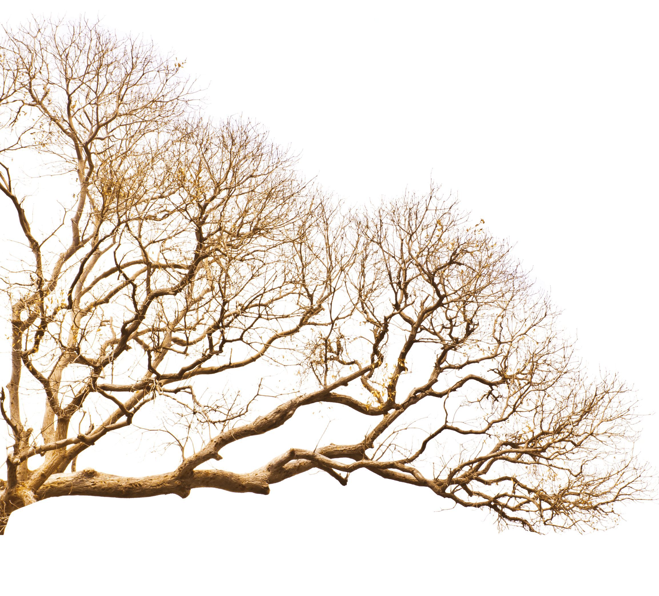 Example of fractal structure in art.