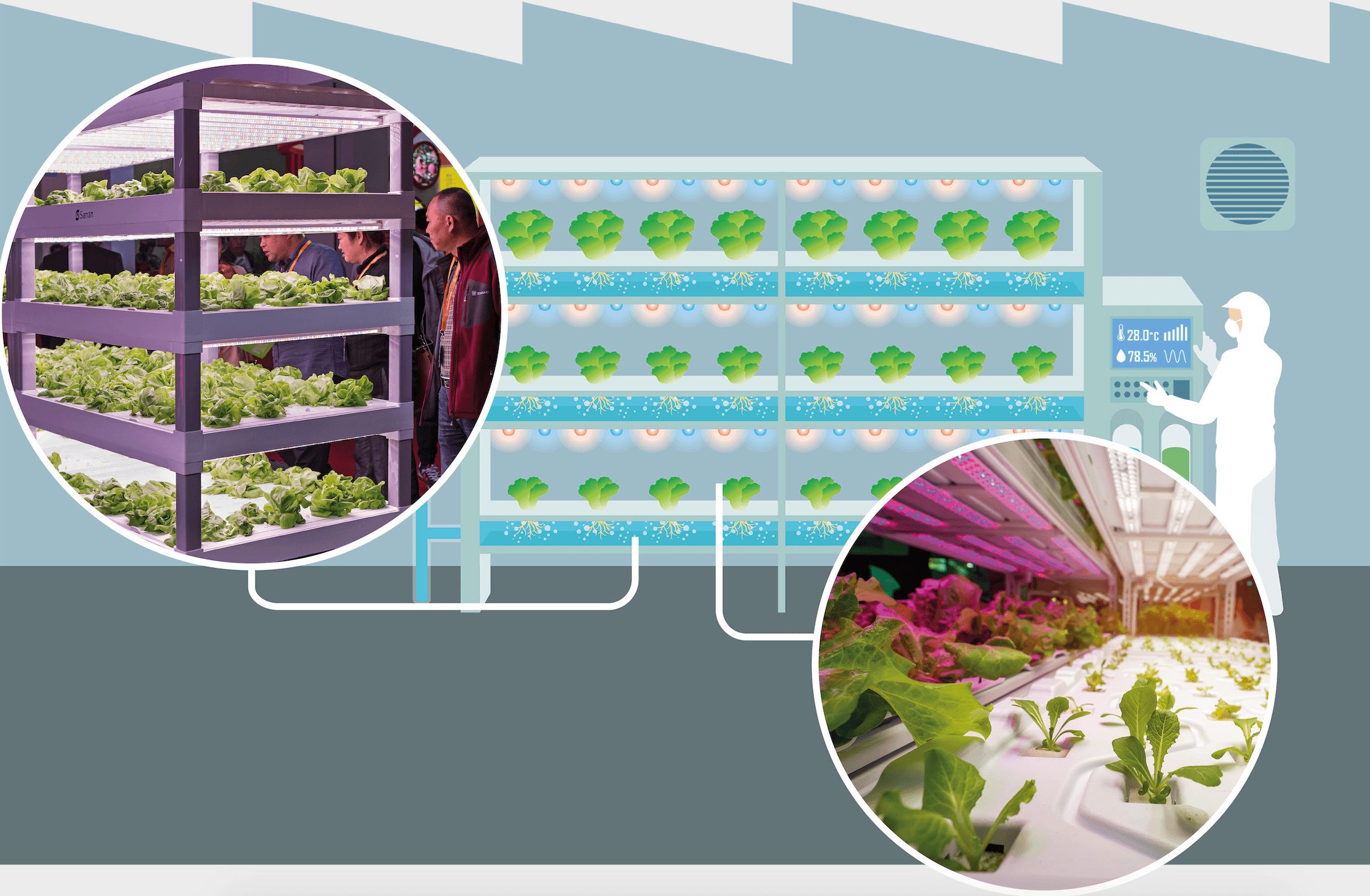 Vertical farms