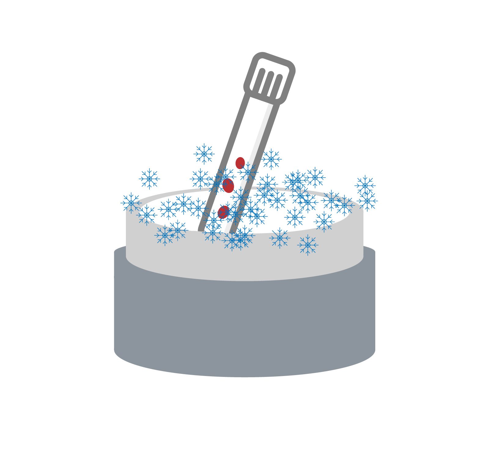 They are quickly immersed in liquid nitrogen and frozen after approximately ten seconds