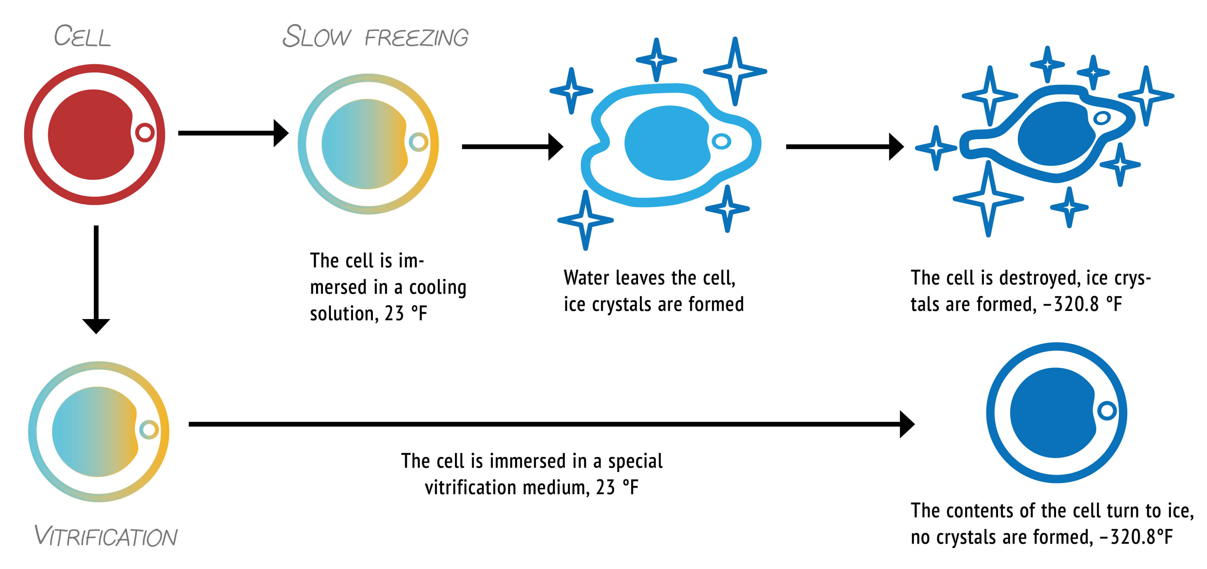 Cell freezing methods