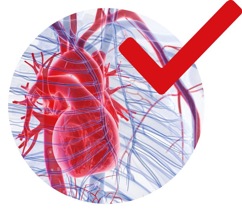 First, you need to make sure that the circulatory system is intact
