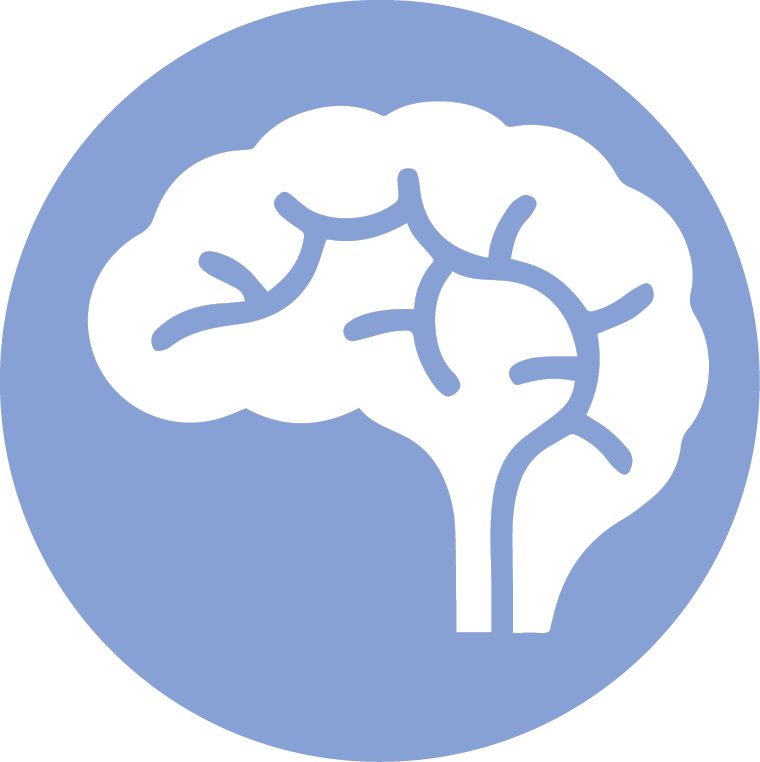As a result, brain cells need less oxygen, and they have a chance to recover from stress