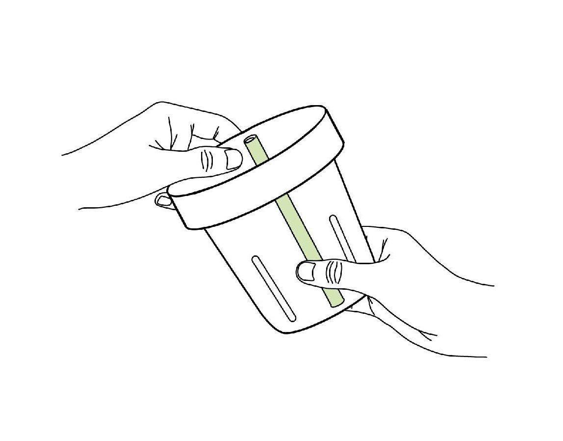 Method of planting a hydroponic garden at home