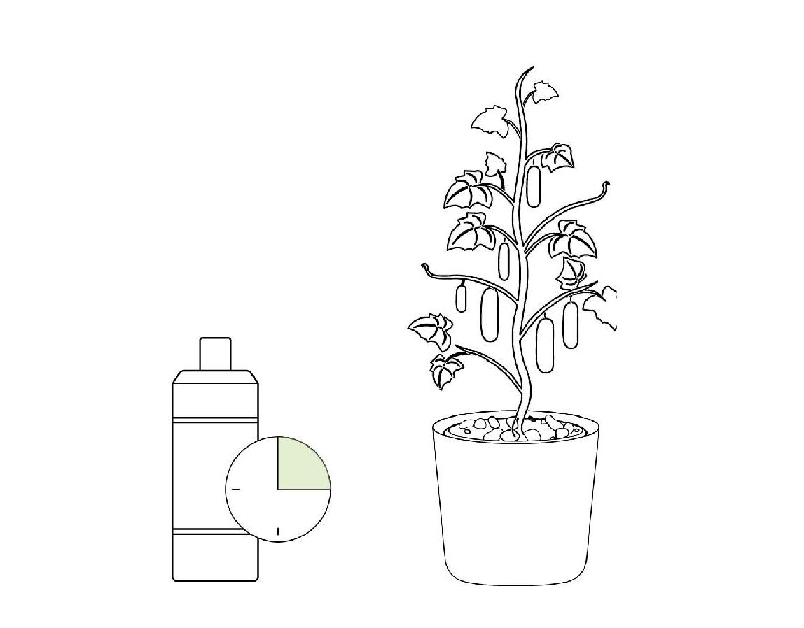 Method of planting a hydroponic garden at home