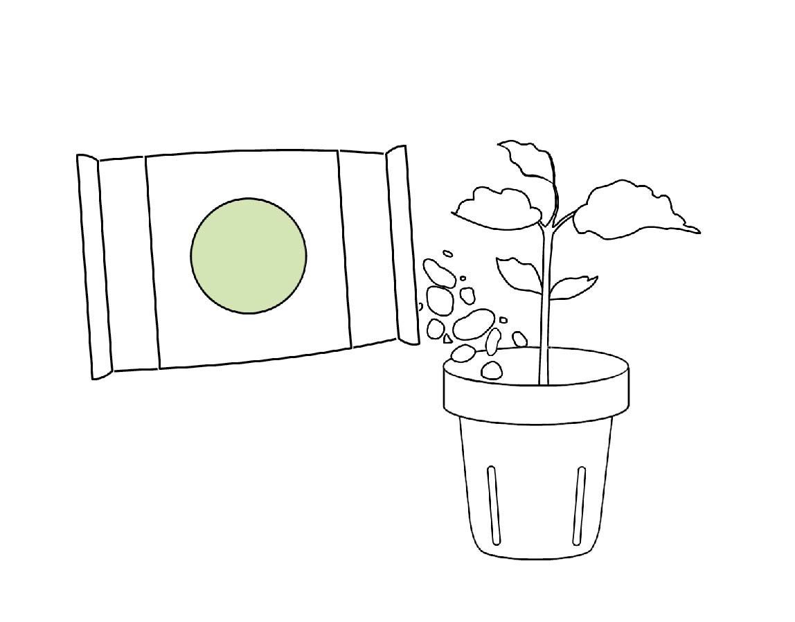 Method of planting a hydroponic garden at home