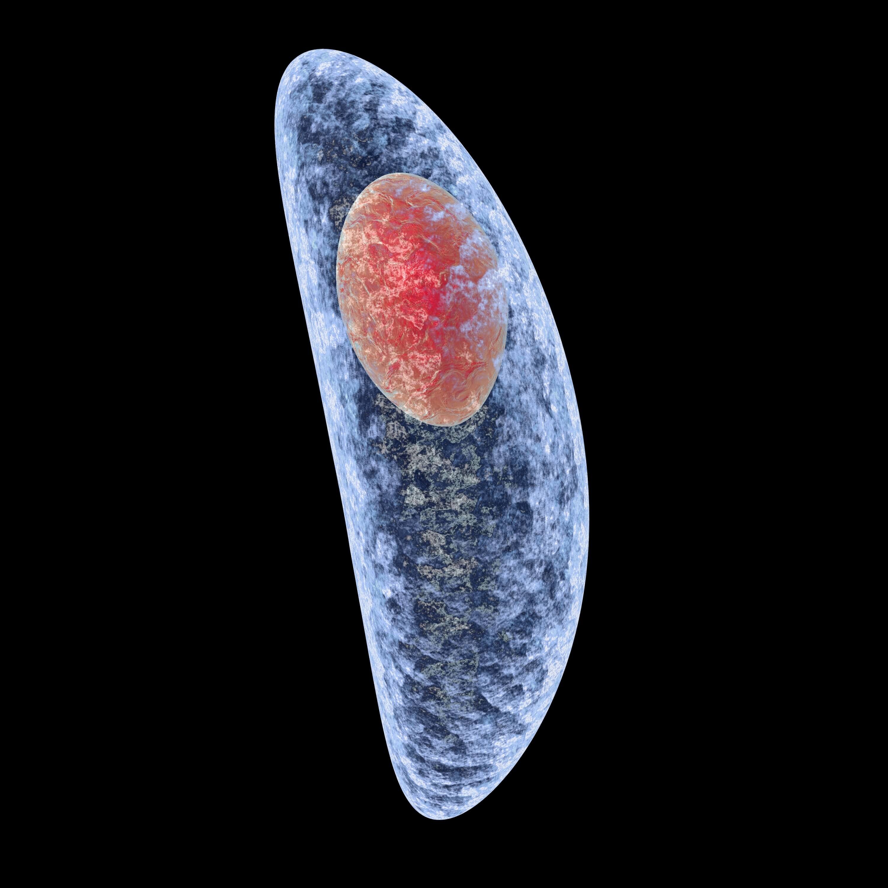 Parasite