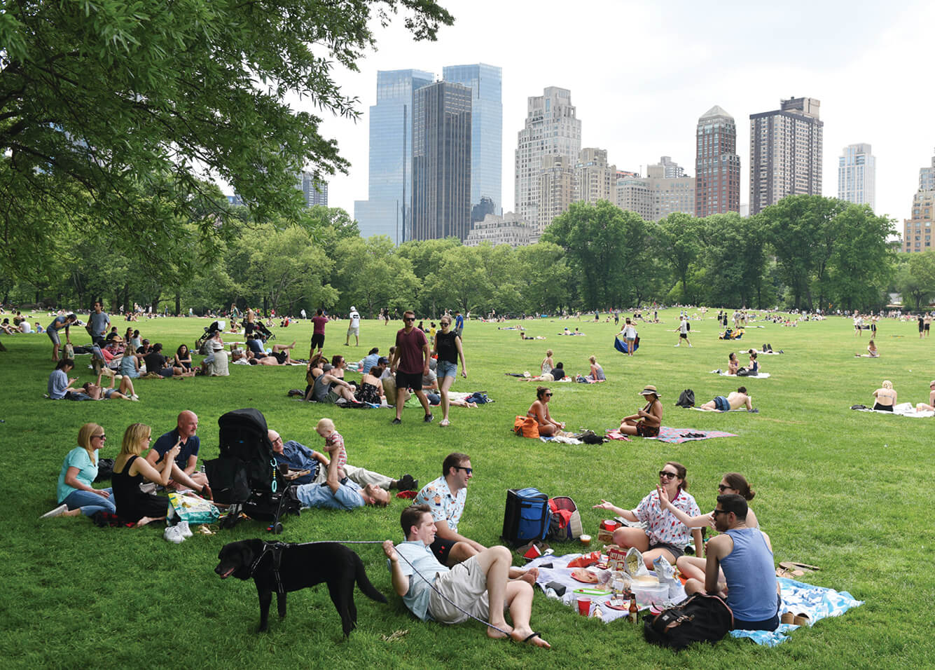 Green areas help cool urban heat islands in hot summer weather