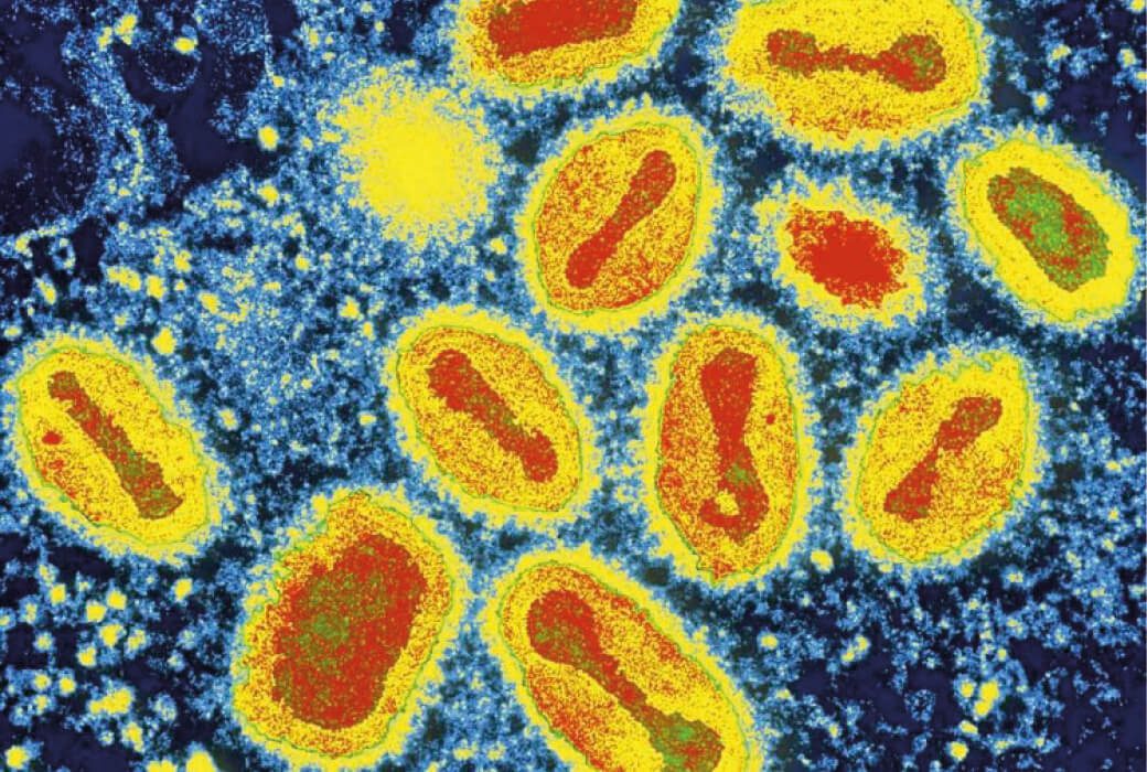 An image of a group of bacteria on a blue background, highlighting their role in vaccines.